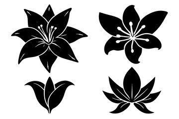 set of Lily vector silhouette illustration isolated on white background