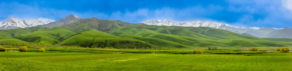 Majestic mountain landscape with serene fields during daytime in Kyrgyzstan