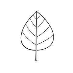 Plant-leaf, leaves, neutral, sprout, growth, new life, green, Sketch, pencil drawing, illustration, topic sustainability, climate change, nature, transparent PNG, retro, modern