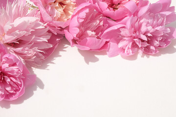 Soft pink peonies arranged in the corner of a white background, creating a floral frame with space...