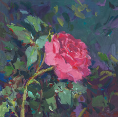 Pink rose bush gouache painting. A bright flower bloomed in the garden. Creative hand-drawn illustration. Artistic original background for the design of postcards, notebooks websites. Contemporary art