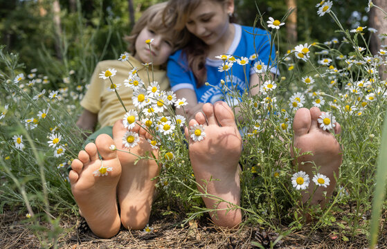 Focus on four bare feet of two children sitting among wild daisies. Summer carefree mood, happy holidays. Walking barefoot is good for health of feet. Walks of friends or children. Hello, summer - Powered by Adobe