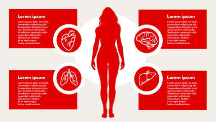 women’s health, internal organs – brain, heart, lungs, liver – infographic template – vector illustration