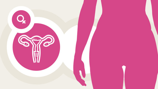 women&rsquo;s health, reproductive system, uterus and ovaries &ndash; template, banner, infographic &ndash; vector illustration