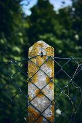 Mesh fence with concrete post. High quality photo