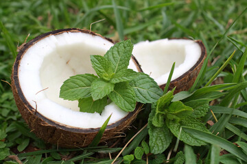 Halved Coconut with Fresh Mint Leaf on Green Grass