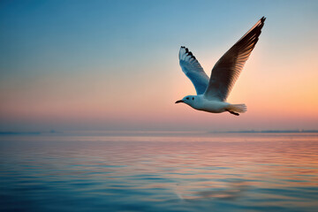 aerial view of serene ocean surface at sunset featuring solitary seagull gliding gracefully