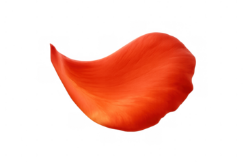 Close-up of a vibrant orange petal, isolated on a transparent background, showcasing its delicate texture and graceful form