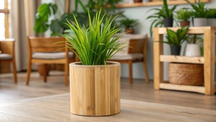 Interior design bamboo, eco-friendly and furniture concept. Indoor potted plant in a stylish wooden planter with a cozy setting. © nongnuch
