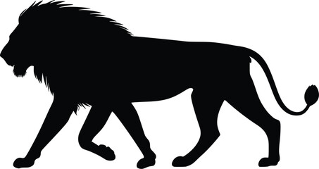 Obraz premium Majestic lion silhouette walking, editable vector illustration, profile view, powerful, wild animal, African wildlife, black and white, graphic design element