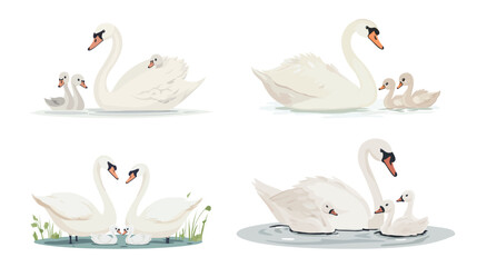 Obraz premium Close-Up of Swan Family – Adult Swans and Fluffy Cygnet on Water