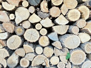 All Split wood. Woodcutter.