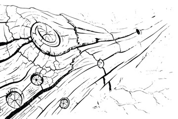 black and white illustration of wooden planks on cracked ground with small grass tufts growing.