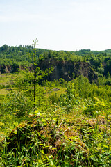 Obraz premium Ein erster Blick in das Großbiotop zeigt wie die Natur zurück kehrt