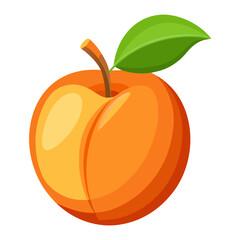 Simple Apricot Illustration in a Modern Flat Style
