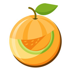 Clean Design Cantaloupe Melon Vector on White Background