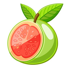 Modern Guava Fruit Vector Art Isolated on White