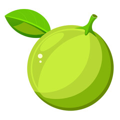 Clean Design Lime Fruit Vector Illustration