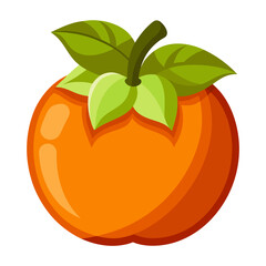 Clean Design Persimmon Fruit Vector on White