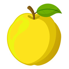 Clean Design Quince Fruit Vector on White Background