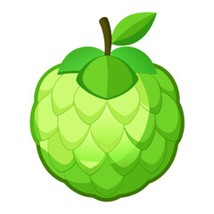 Modern Sugar Apple Vector Art Isolated on White