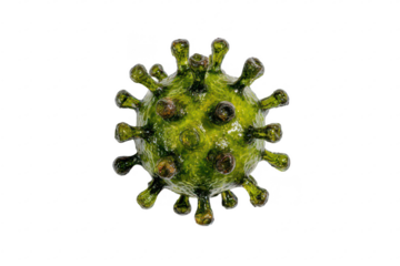 Virus Structure Closeup