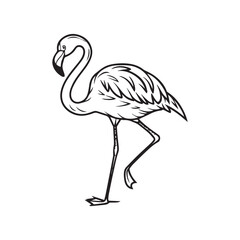 Obraz premium flamingo vector illustration