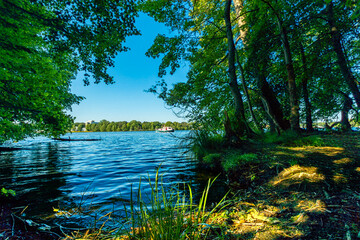 Urwald Gefühl am Ufer der Dahme, Langer See, in Berlin Köpenick.