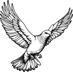Obraz premium Hand-drawn silhouette of a dove in flight, editable vector illustration, peaceful bird soaring, wings spread wide, monochrome sketch, elegant design