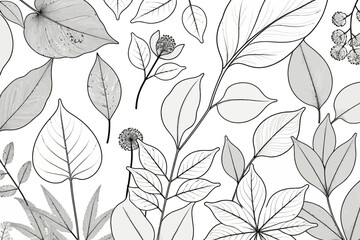 Botanical Line Art Background-Elegant Leaf and Flower Design-Minimalist Floral Pattern for Creative Projects-Nature Inspired Art-Black and White Illustration