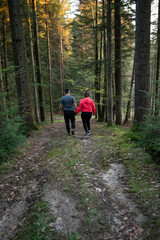 Fototapeta premium Couple enjoying a serene walk through a lush forest during golden hour, hand in hand while leaves rustle and sunlight filters through the trees