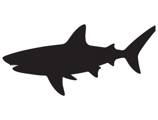 SHARK SILHOUETTE