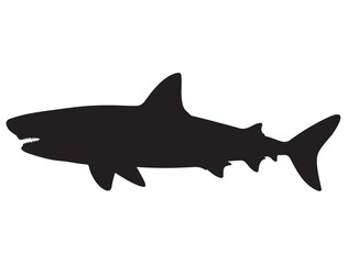 SHARK SILHOUETTE