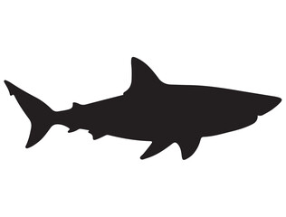 SHARK SILHOUETTE