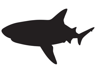 SHARK SILHOUETTE