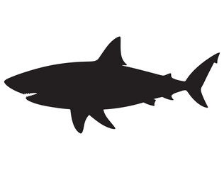 Obraz premium SHARK SILHOUETTE