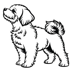 Elegant Bichon Frise Standing Profile with Intricate Fur Details and a Dignified Pose Captured in Striking Black and White