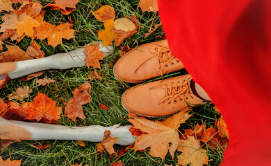 Dog with owner during autumn walk. Top view dog paws and humans feet.