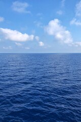 Open Ocean Horizon with Clear Sky and Rippling Waves