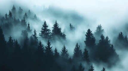Enigmatic Black Mountain Forest in Fog on Adobe Stock