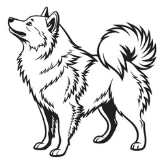 Elegant Black and White Illustration of a Standing Pomsky Dog with Detailed Fur and Distinct Tail Curl