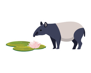 Tapir Standing by Water Lily Pad