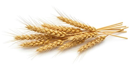 Wheat Ears