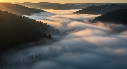 Fototapeta premium Sunrise Over Misty Mountains: A Serene Landscape