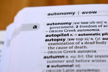 English Definition Dictionary Of Printed Word - Autopilot  Close Up