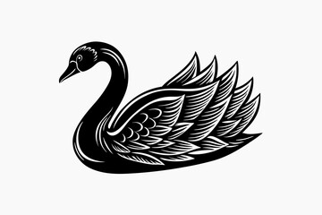  swan vector