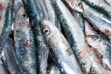 Fresh anchovies caught from the sea for sale at the market