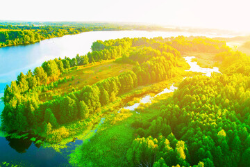 Lake in wild nature, aerial view. Wild Lake in summer. Landscape of lake in wildlife. Drone view of wetland in green colors. Rural environment, clean air and ecology. Pond and swamp in forest.