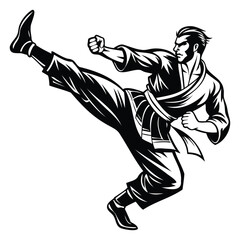 Dynamic Karate Pose Illustrations