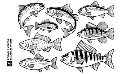 Collection of various outlined fish species and a seahorse in a vector graphic design style